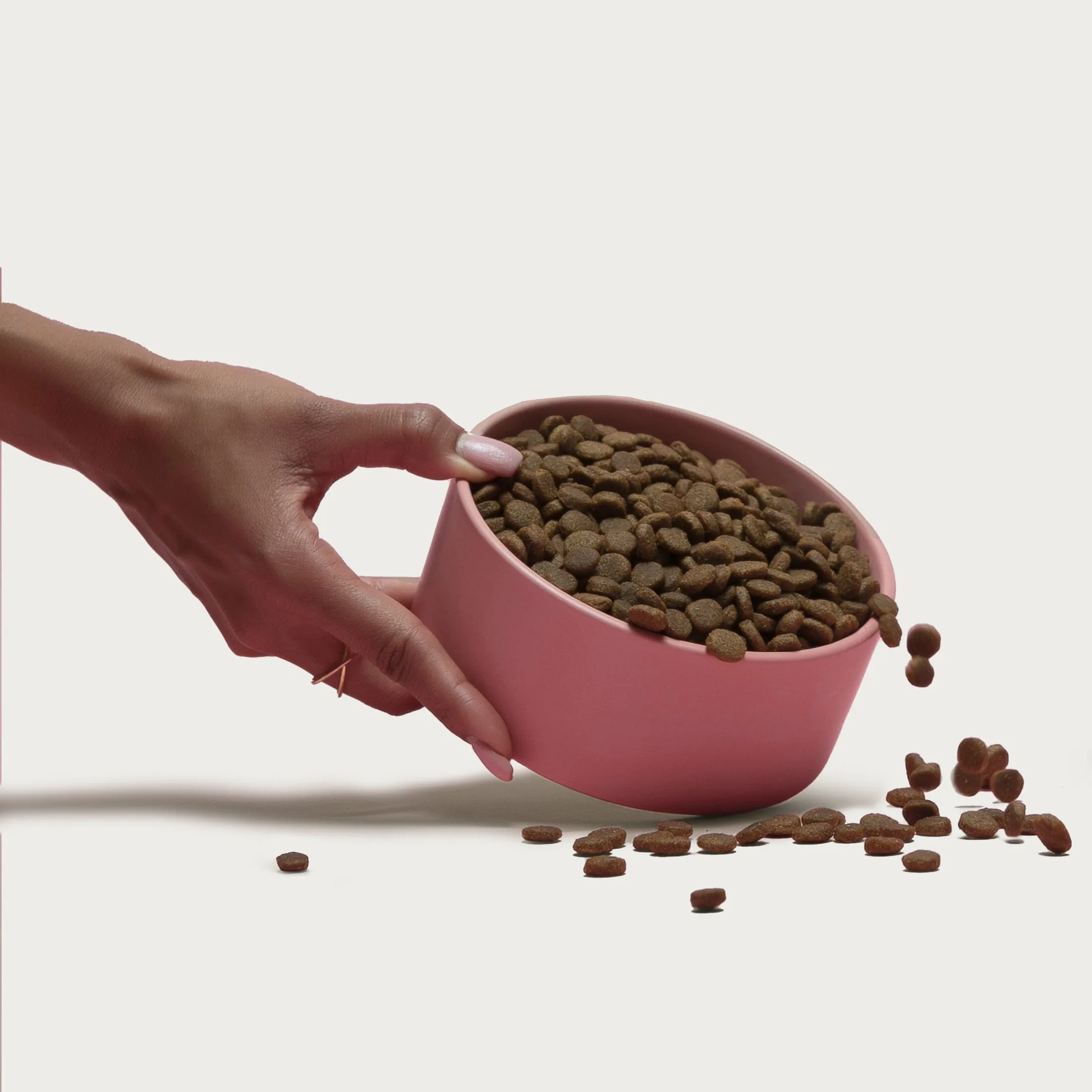 Grain-Friendly Kibble Sampler